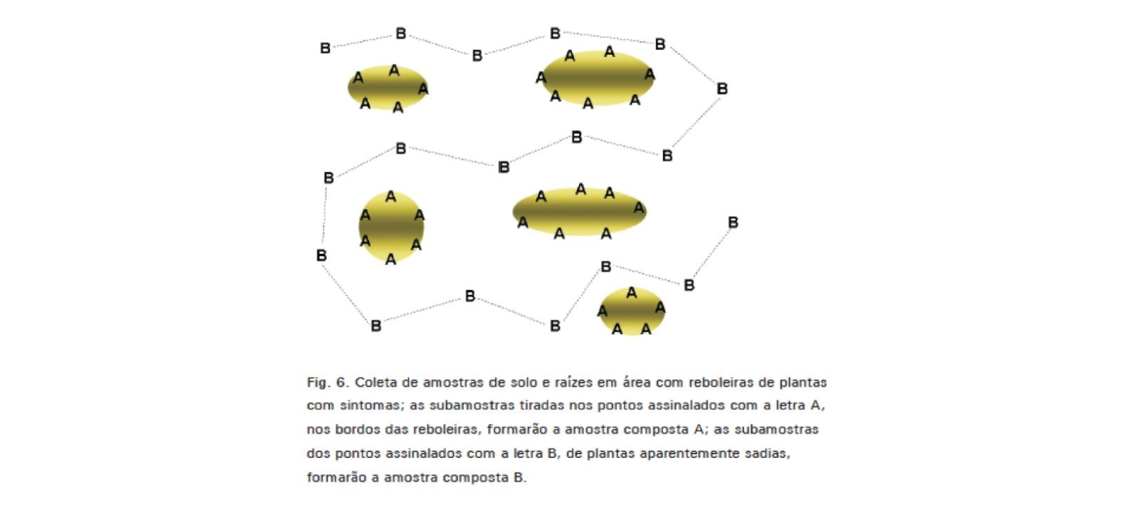amostragem de nematoides