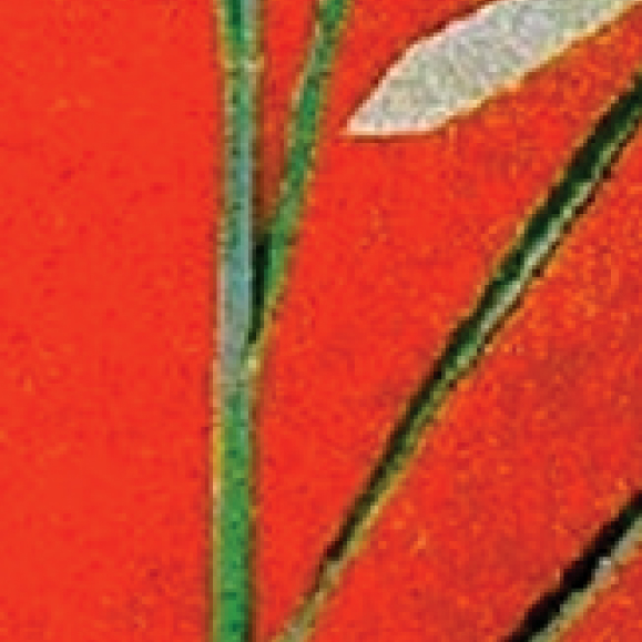 Imagem indisponível