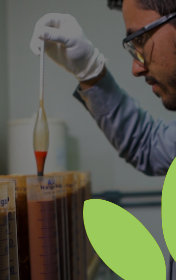 Analises ambientais e agrícolas