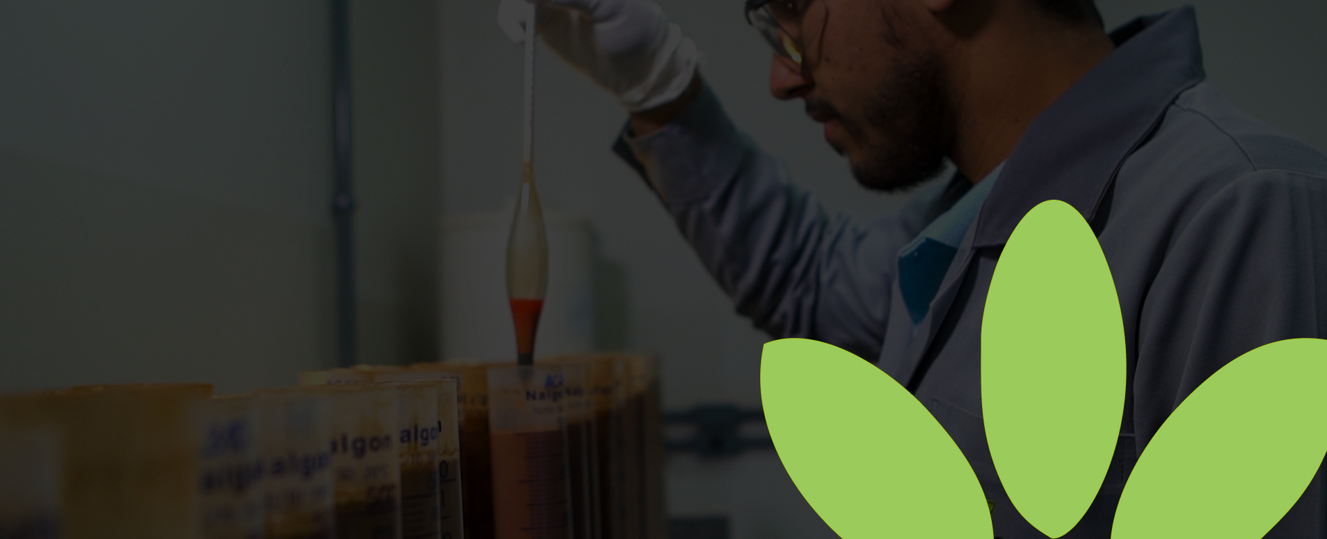 Analises ambientais e agrícolas